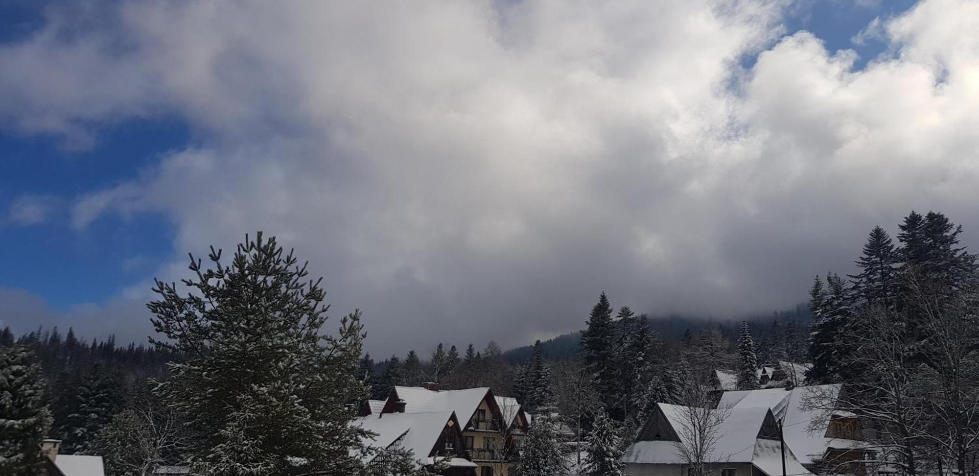 Apartamenty Pod Limba Zakopane Dış mekan fotoğraf