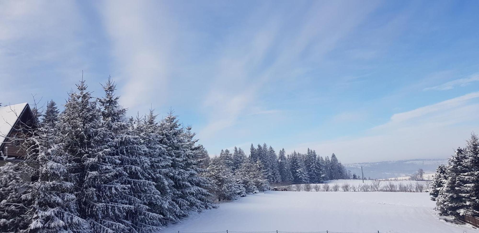 Apartamenty Pod Limba Zakopane Dış mekan fotoğraf