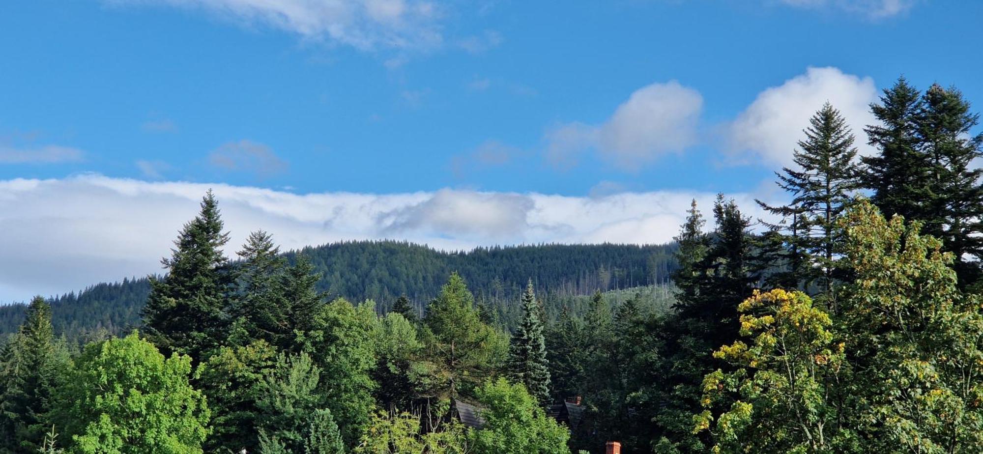 Apartamenty Pod Limba Zakopane Dış mekan fotoğraf